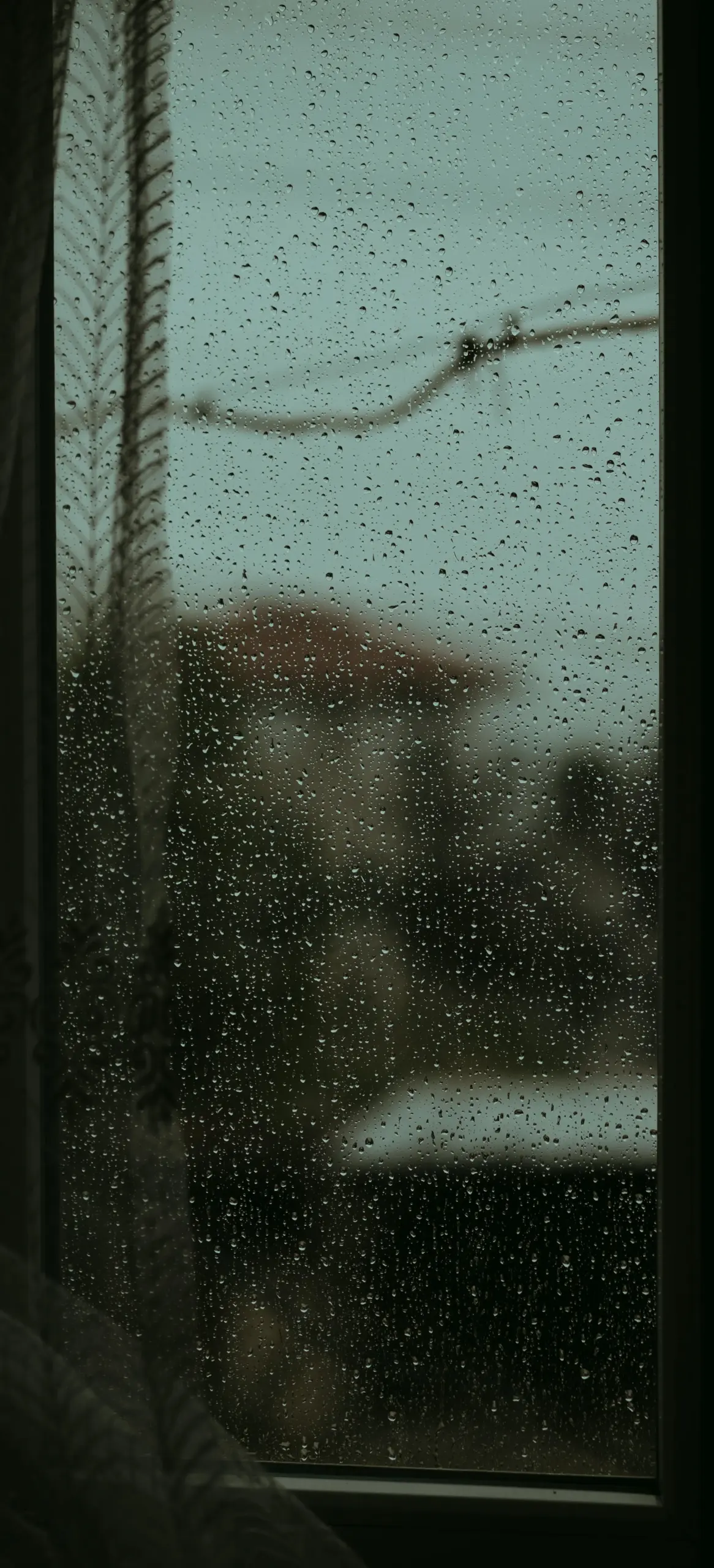 Condensation on the outside of a window in Sheffield